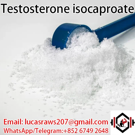 Testosterone Isocaproate CAS 15262 86 9 Testosterone Isocaproate CAS 15262 86 9
